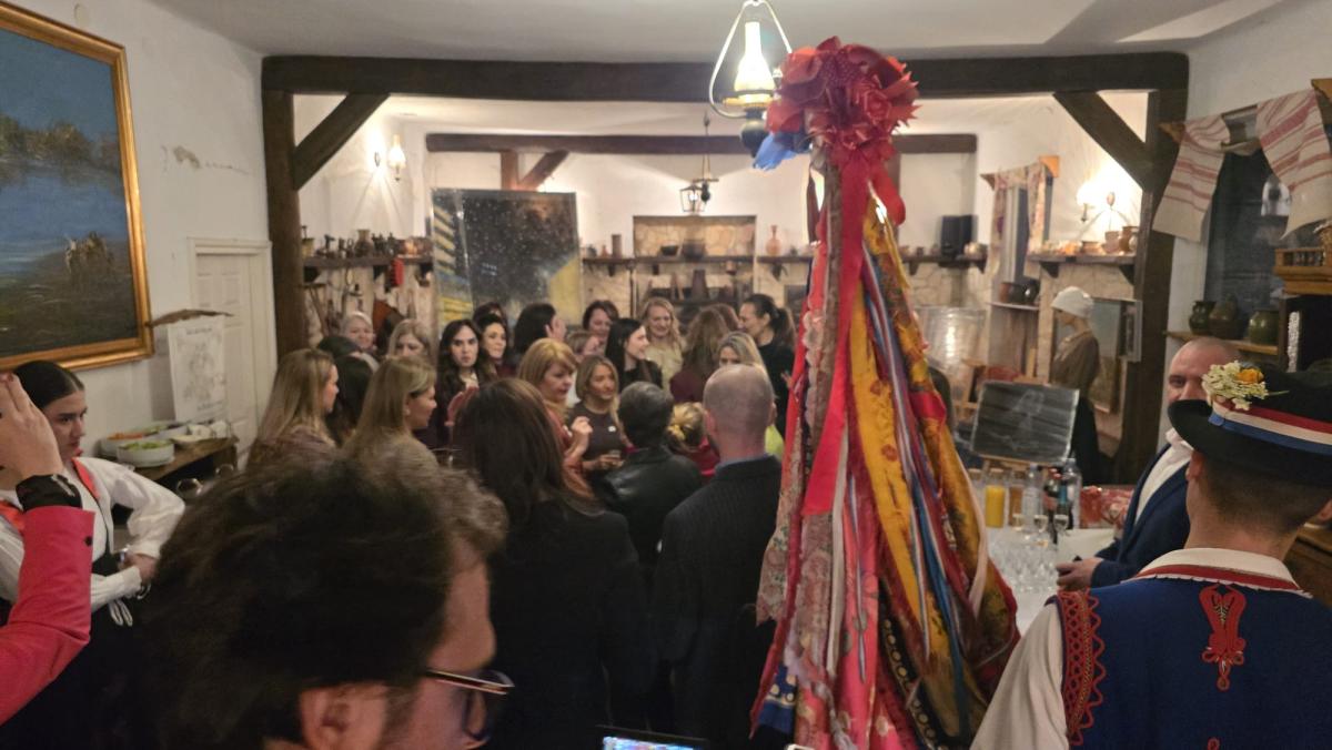 Mreža hrvatskih žena / Croatian Women's Network