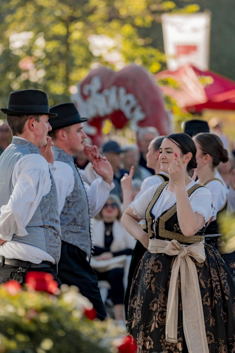 U Vukovaru uspješno održan 8. festival „SVI zaJEDNO HRVATSKO NAJ”