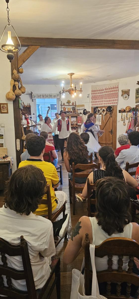 Sveučilišna škola hrvatskoga jezika i kulture