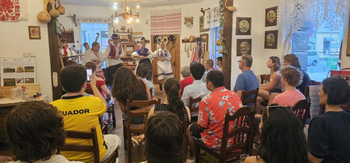 Sveučilišna škola hrvatskoga jezika i kulture