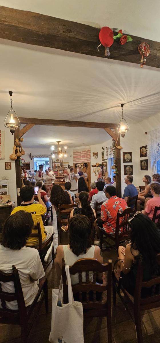 Sveučilišna škola hrvatskoga jezika i kulture