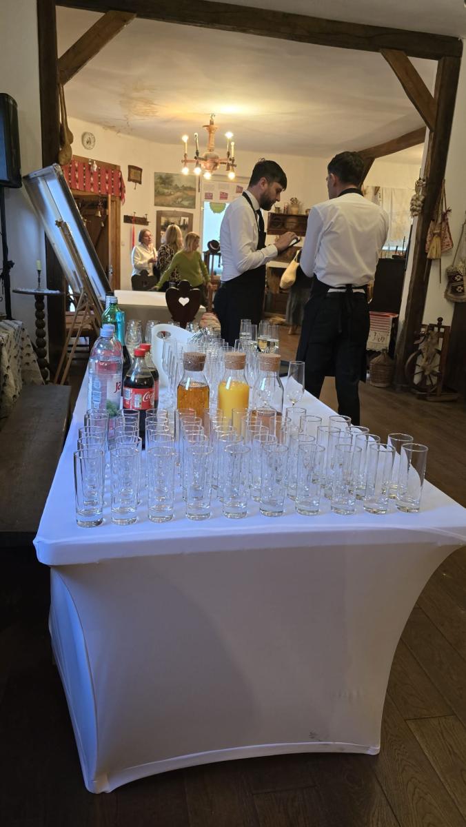 Mreža hrvatskih žena / Croatian Women's Network